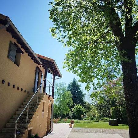 Les Buis - & Tinys House *