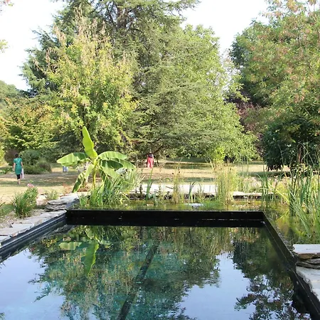Les Buis - & Tinys House